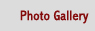 Photo Gallery
